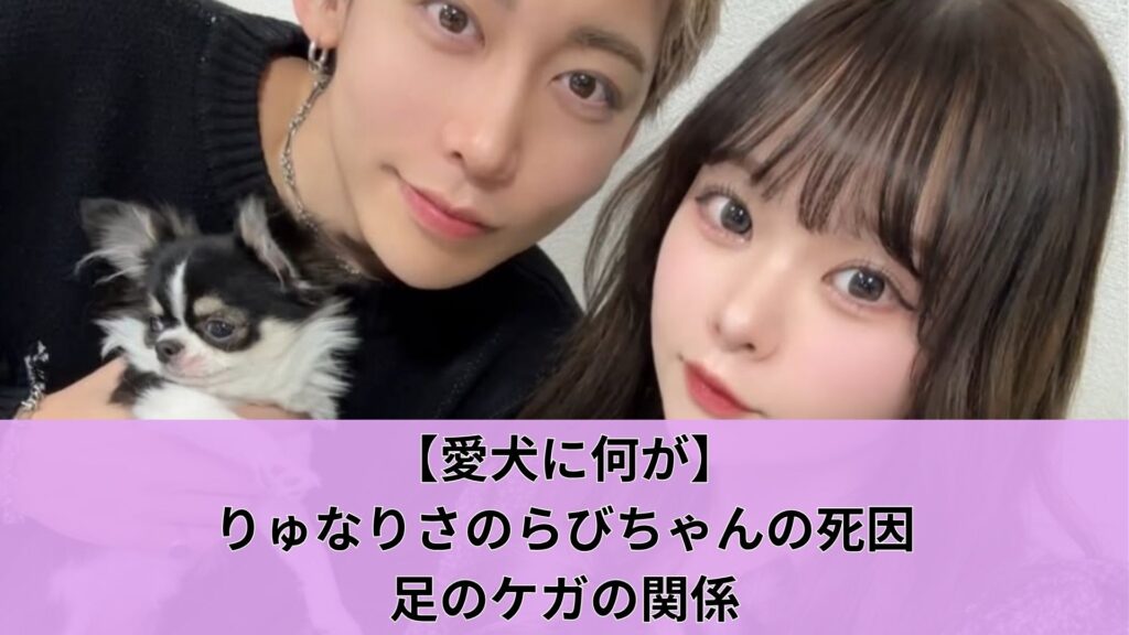 【愛犬に何が】りゅなりさのらびちゃんの死因と足のケガの関係